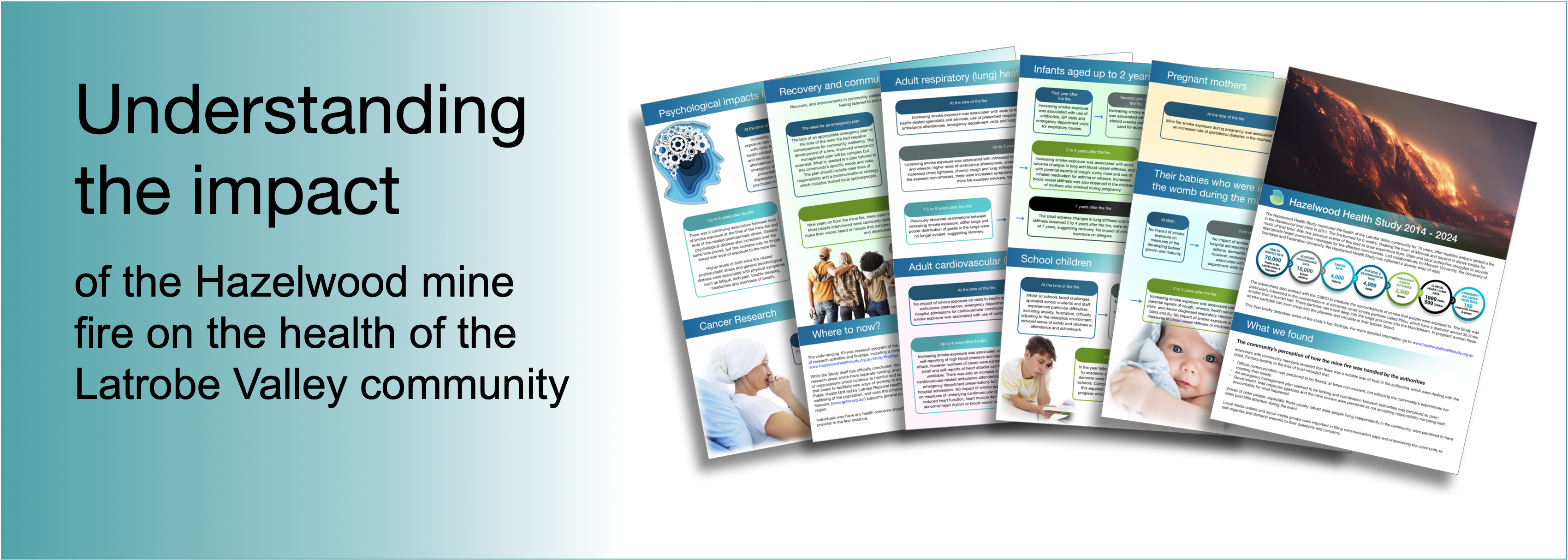 Brochure Banner 2025